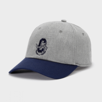 Cayler & Sons White Label Frat Boy Curved Cap grey 20 Euro