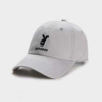 Cayler & Sons Rude Curved Cap grey 20 Euro